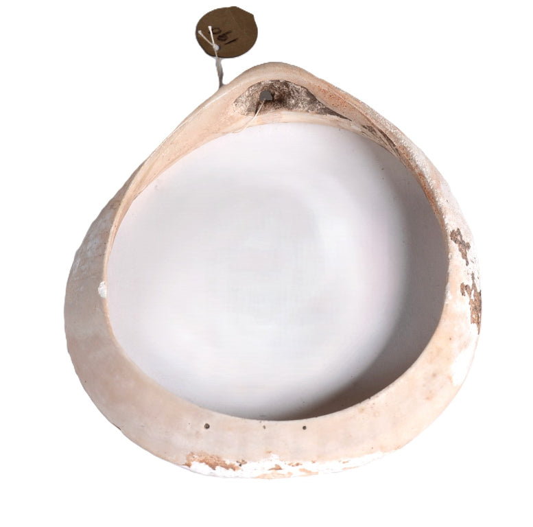 Hohokam Shell Bracelet