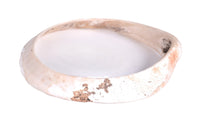 Hohokam Shell Bracelet
