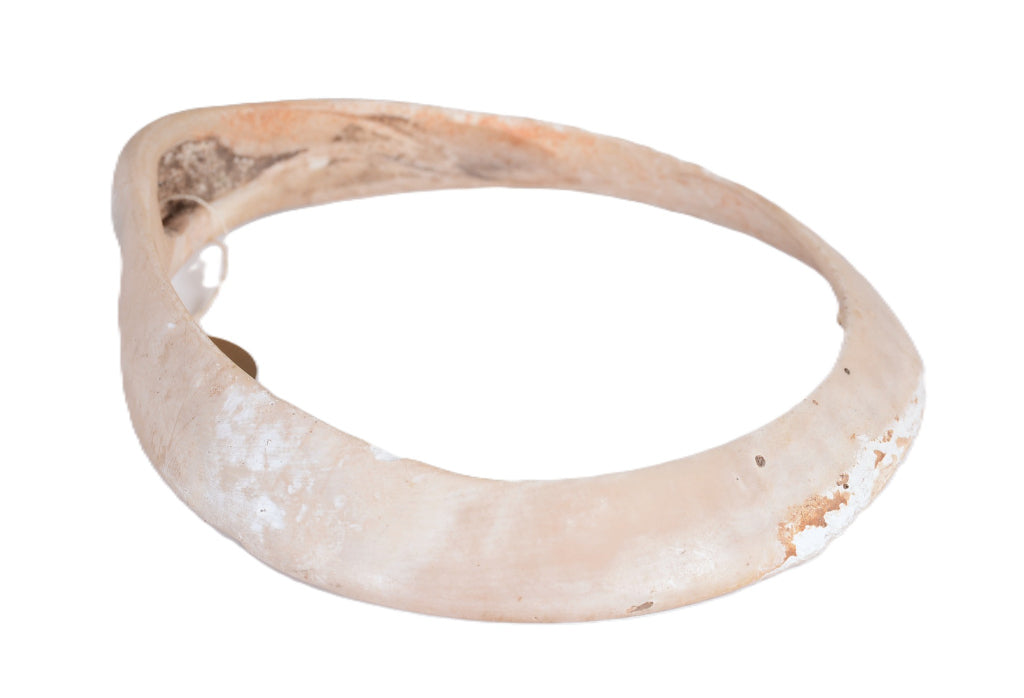 Hohokam Shell Bracelet