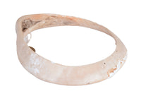 Hohokam Shell Bracelet