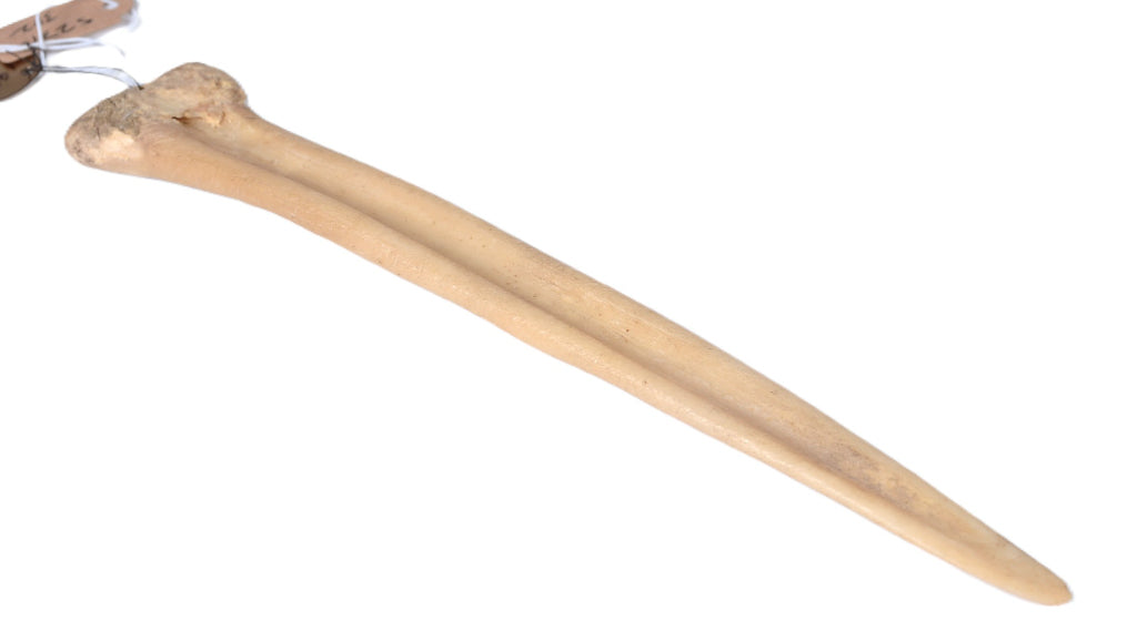 Plains Bone Awl