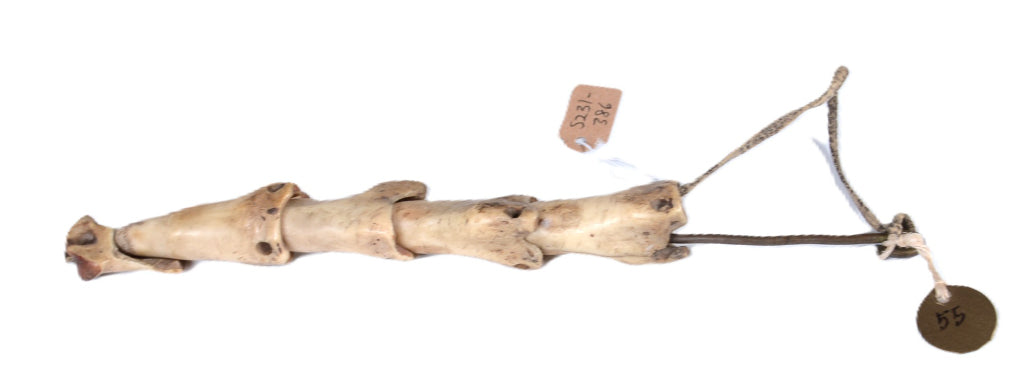 Northern Plains Bone Game