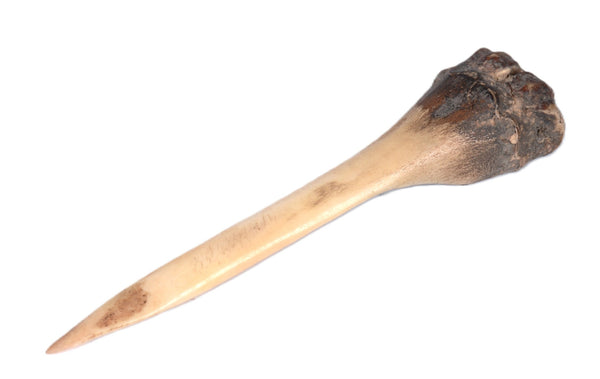 Northern Plains Bone Awl