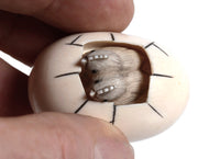 Japanese Netsuke Ivory Egg with Chicks