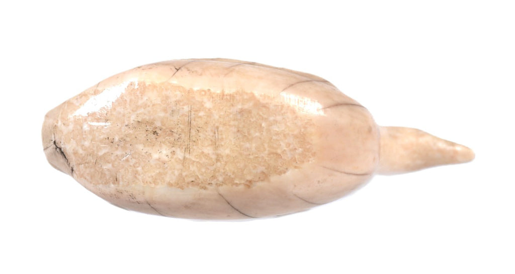 Inuit Ivory Sitting Bird
