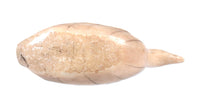Inuit Ivory Sitting Bird