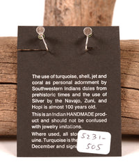 Navajo Sterling Silver Inlay Earrings
