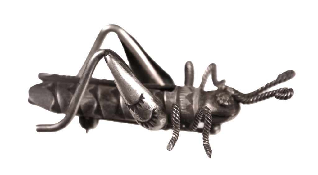 Navajo Sterling Silver Grasshopper Pin