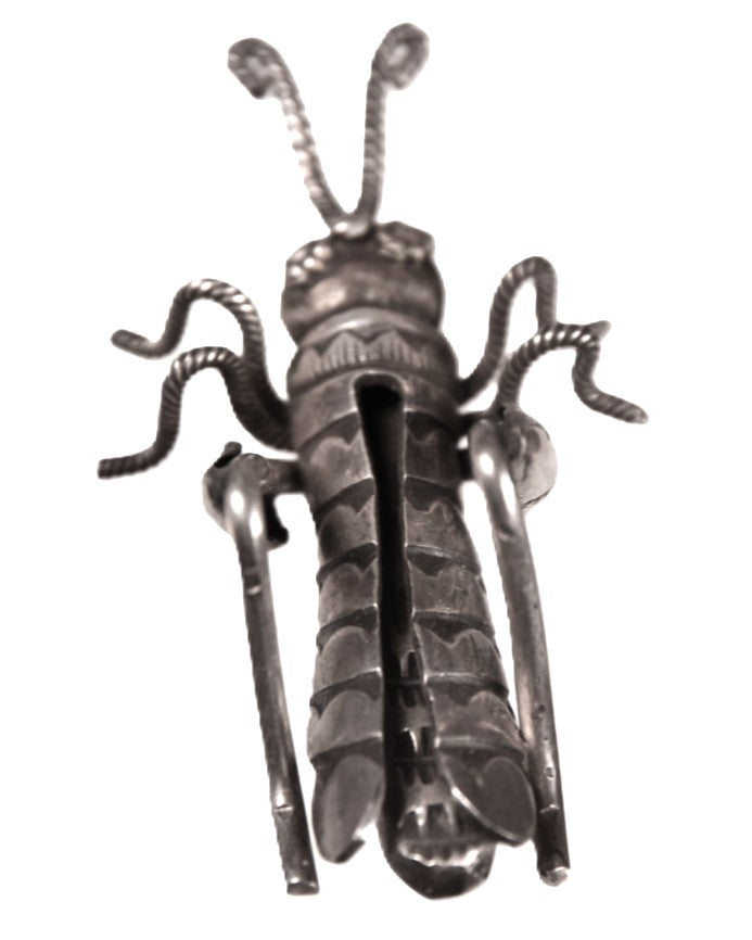 Navajo Sterling Silver Grasshopper Pin