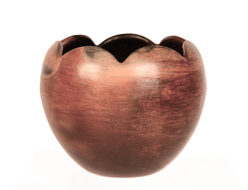 Navajo Pottery By Sue Williams
