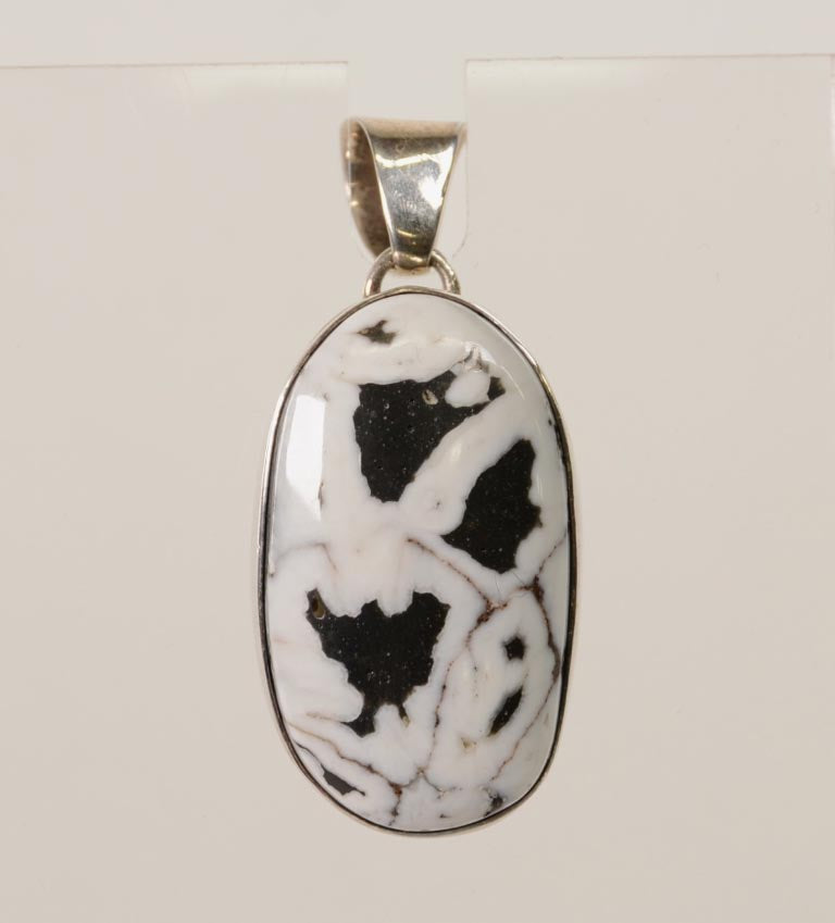 Navajo White Buffalo and Silver Oval Pendant with Sterling Silver Bail