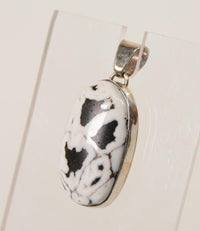 Navajo White Buffalo and Silver Oval Pendant with Sterling Silver Bail