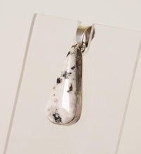 Navajo White Buffalo Teardrop Pendant with Sterling Silver Bail
