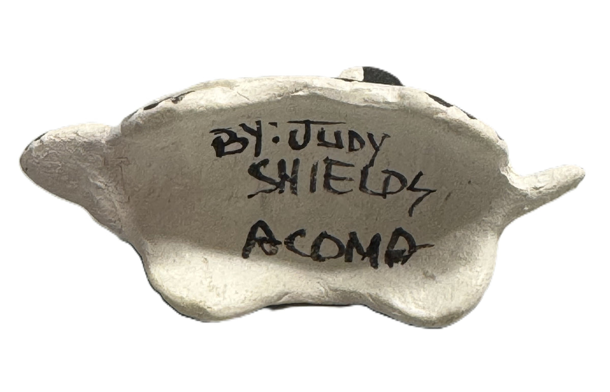 Pueblo and Mixed Pottery Group - Turtles Pottery Set of 6 - Judy Shields -