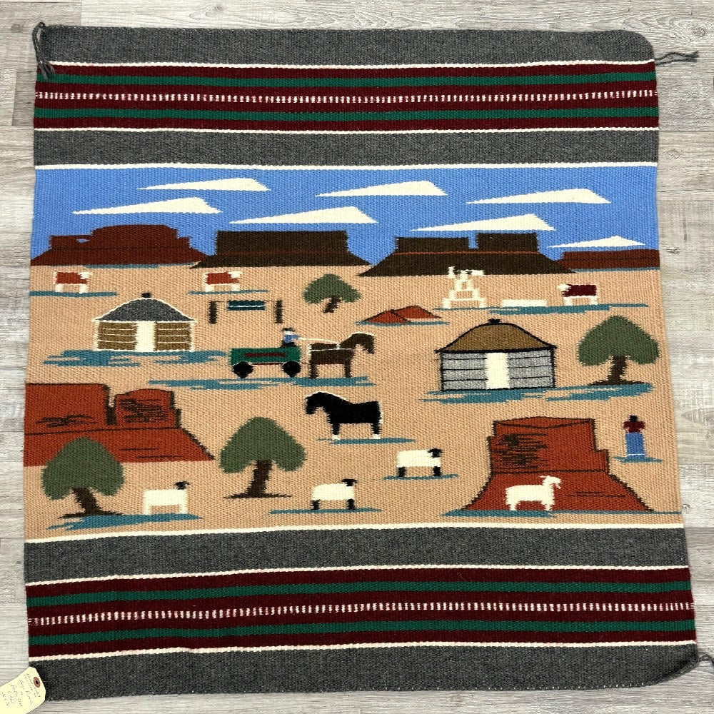 Navajo Rug; Pictorial by Bertha Chee