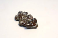 Zuni Fetish by Kim Panteah: Horned Toad Lizard