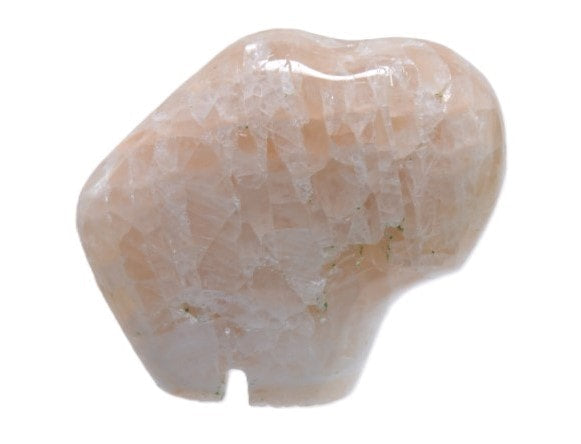 Navajo Fetish Bison / White Buffalo