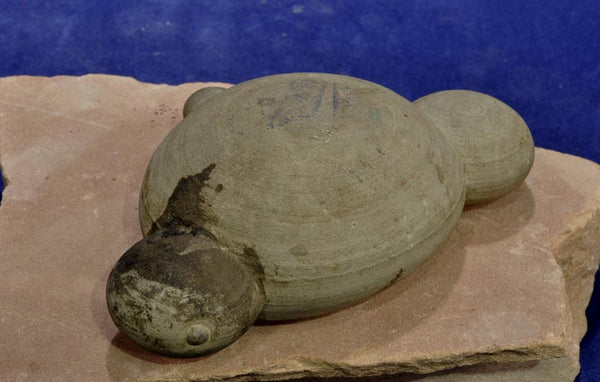 Hohokam Animal Stone Fetish Accretion