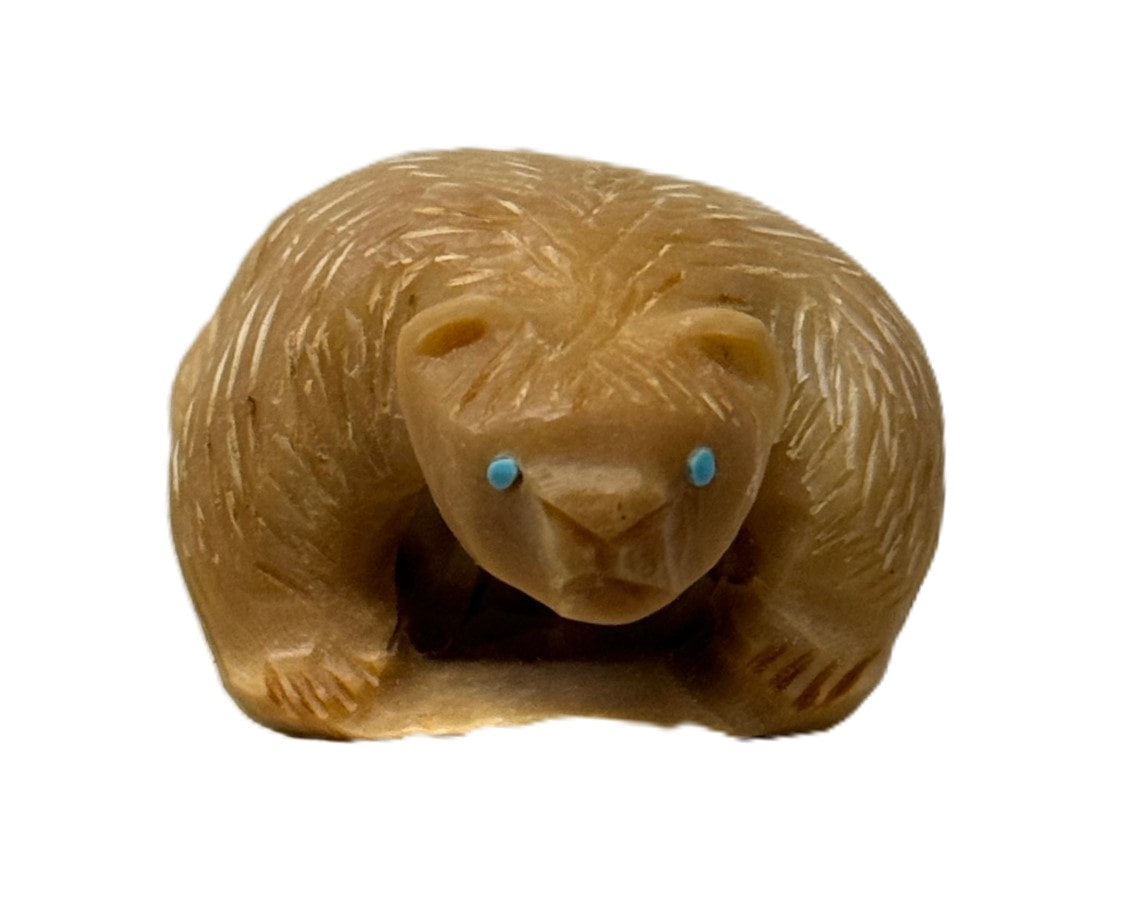 Zuni Tagua Nut Bear fetish turquoise eyes, by Maxx Laate