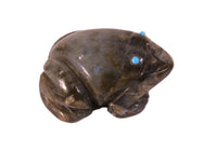 Zuni Labradorite Frog Fetish by Sara Pino: Has Opalence of Blue, Labradorite