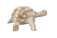 Large Zuni Turtle Fetish with Turquoise by Matthias Hustito
