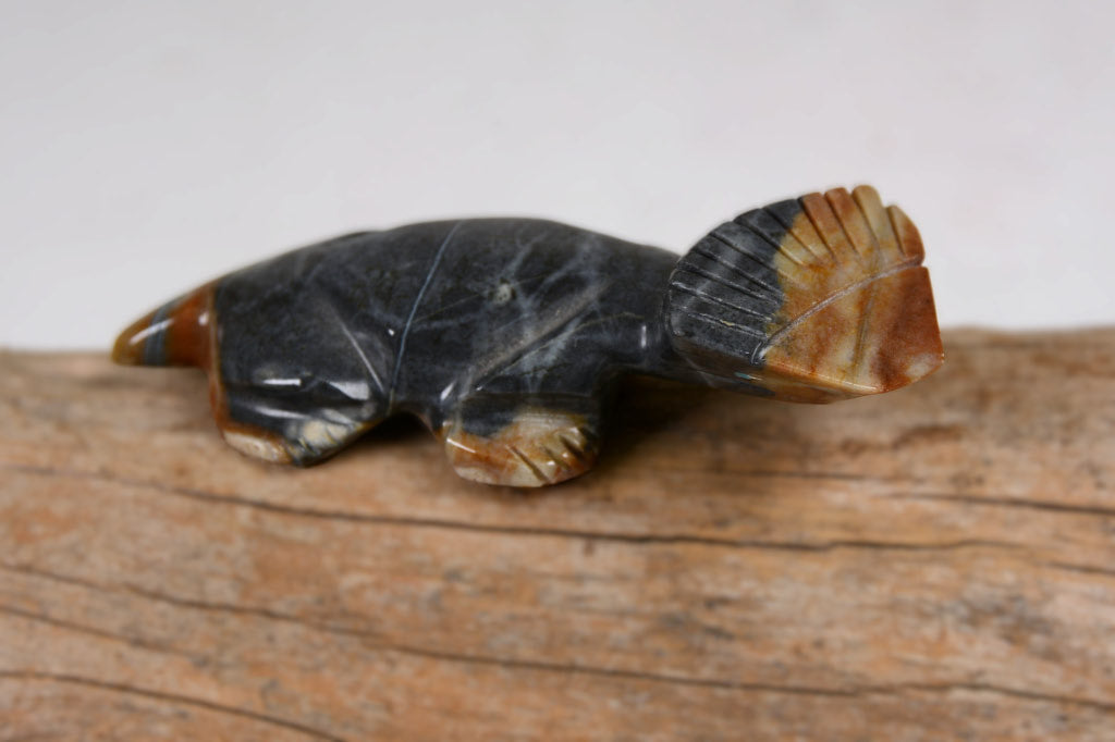 Zuni Fetish: Lizard, Horn Toad Picasso Marble with Turquoise