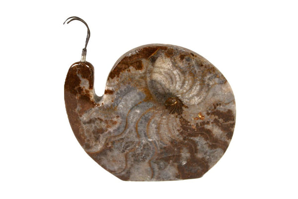 Zuni Fetishes, Snail by Abby Quam and Clayton Panteah: Fossil Ammonite
