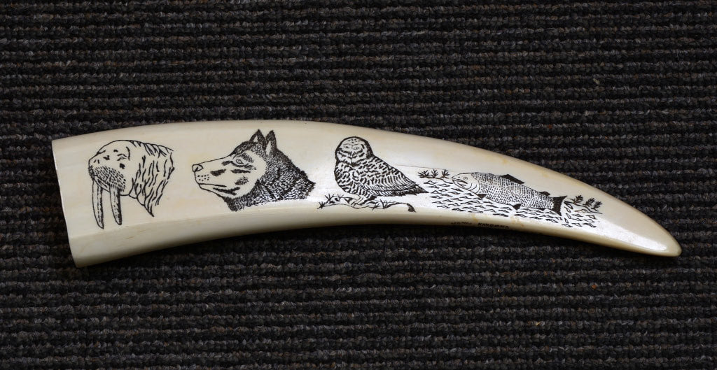 Eskimo Walrus Tusk  with scrimshaw of 4 figures John Kakoona Brevig Mission AK