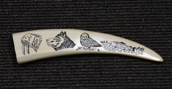 Eskimo Walrus Tusk  with scrimshaw of 4 figures John Kakoona Brevig Mission AK