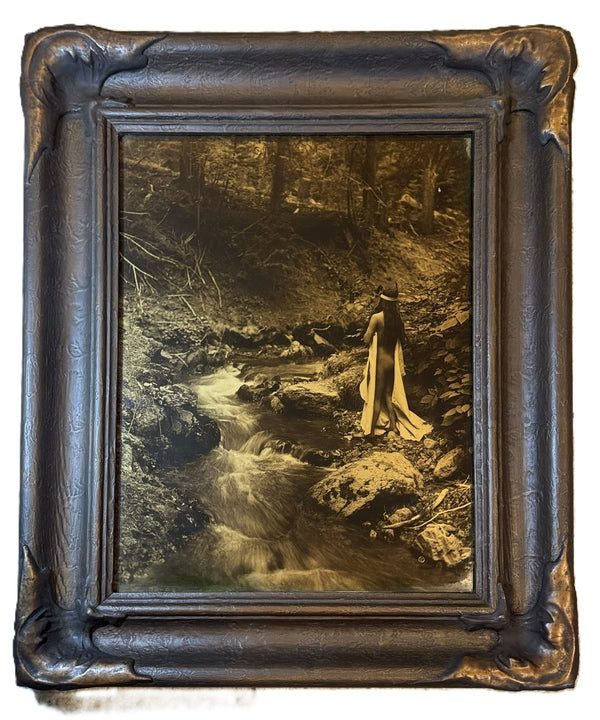 Edward S Curtis; Maid of Dreams