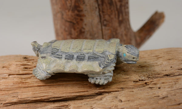 Zuni Turtle Fetish by Herbert Him