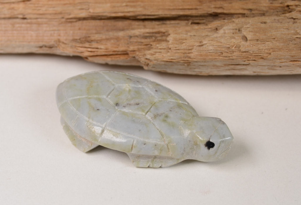 Zuni Turtle Fetish
