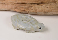 Zuni Turtle Fetish