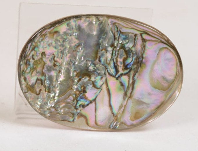 Beautiful Abalone Pin