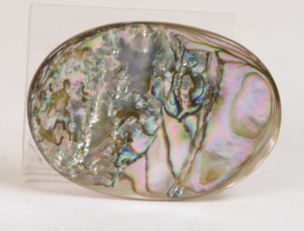Beautiful Abalone Pin