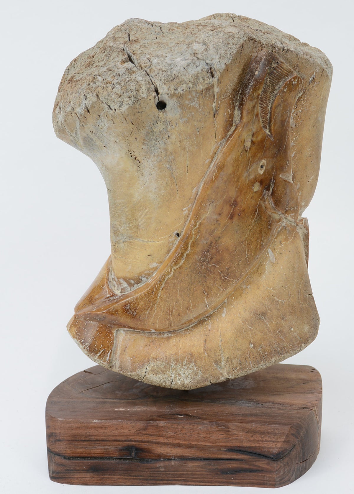 "Bowhead Whale" Bone Carving by Sam Dimmick