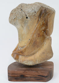 "Bowhead Whale" Bone Carving by Sam Dimmick