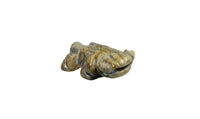 Zuni Fetish - Horned Toad Lizard 1.25"