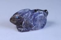Zuni Rabbit Fetish, Purple Flourite by Virigina Quam Ohmasattie