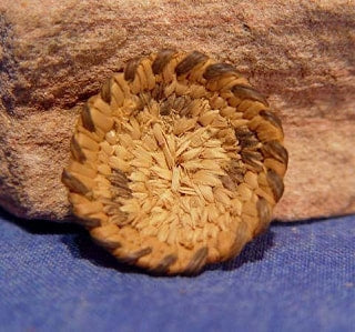Miniature Pima basket C. 1930-40