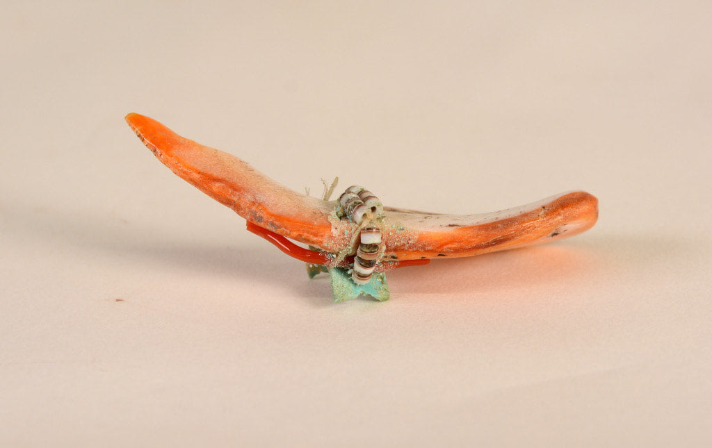 Vintage Zuni Tadpoly Polywog Fetish Orange Oyster Shell