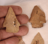 Missouri Arkansas Cody Knife Type 11 Arrowhead Points